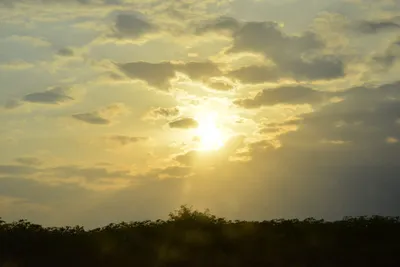 DSC_5403 (Large).JPG